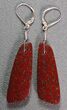 Brilliant, Red, Trapezoidal Dinosaur Gembone Earrings #22527-1